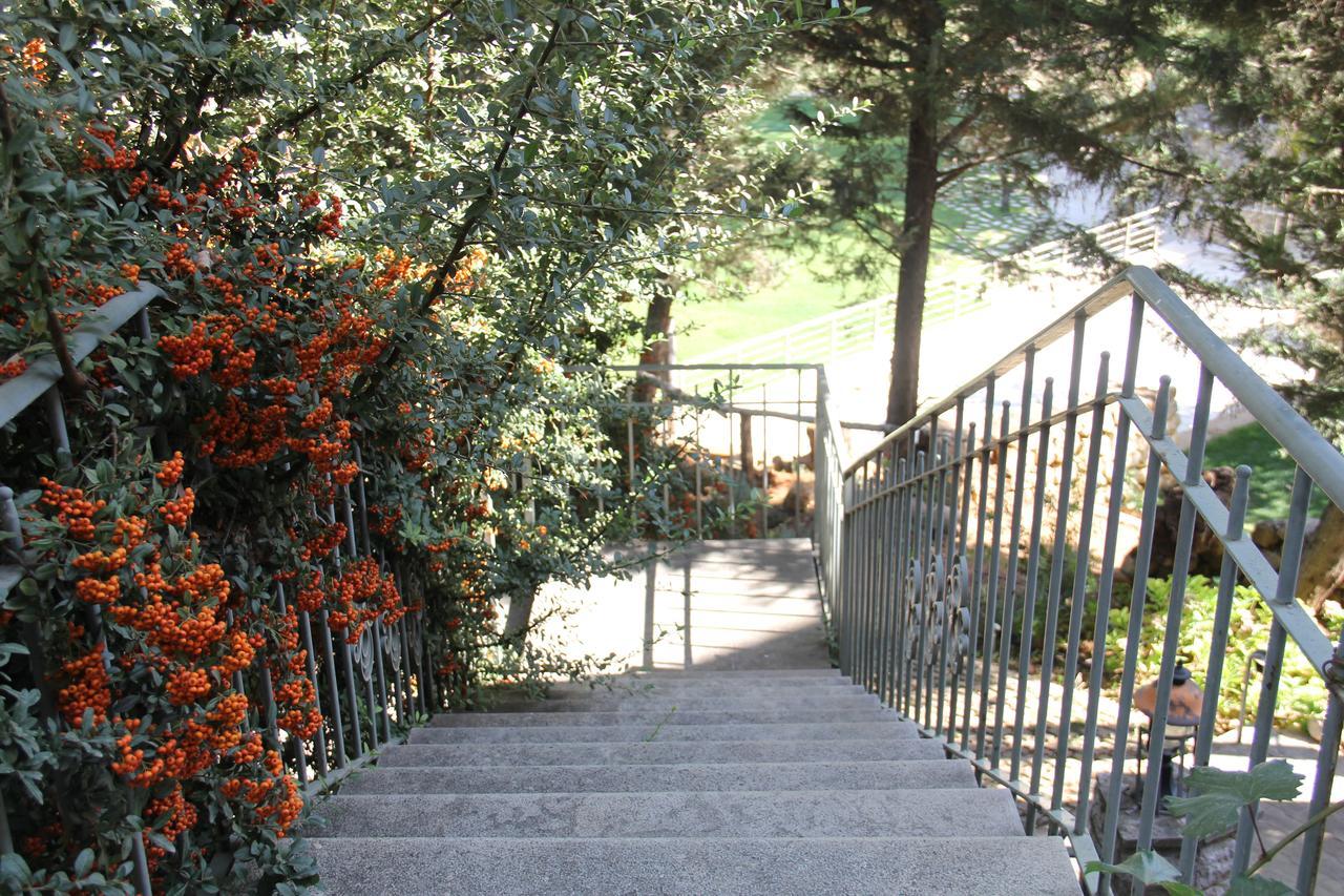 Domaine De Chouchene Otel Sahrat al Qashsh Dış mekan fotoğraf